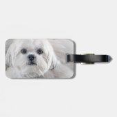 Étiquette À Bagage Shih Tzu (Dos horizontal)