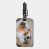 Étiquette À Bagage Shih Tzu (Devant Vertical)
