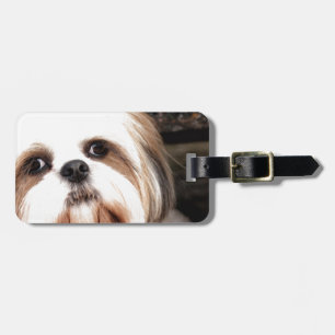Étiquette À Bagage Shih Tzu
