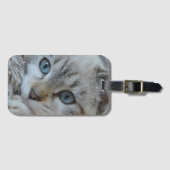 Étiquette À Bagage Siamois Tabby Argent (Devant Horizontal)