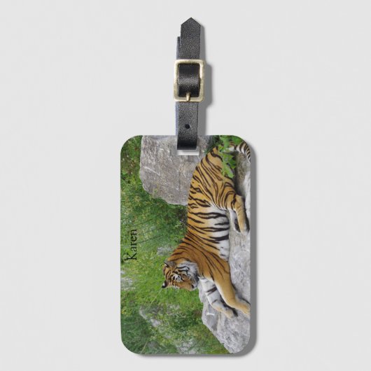 Étiquette À Bagage Siberian Tiger Relaxing on a Rock (Devant Vertical)