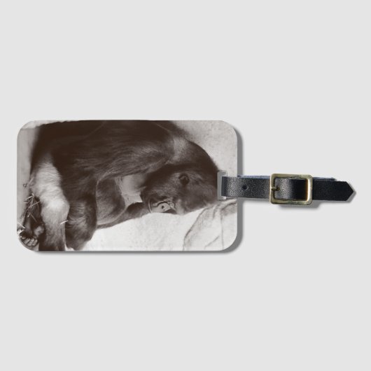 Étiquette À Bagage Silverback dormant (Devant Horizontal)