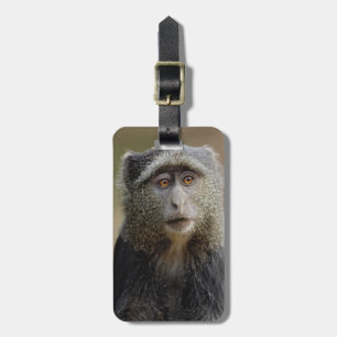 Étiquette À Bagage Singe de Sykes ou Cercopithèque à diadème, Cercopi
