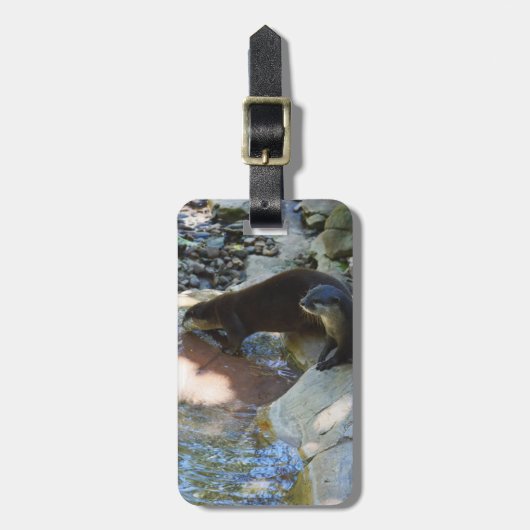 Étiquette À Bagage **"Sips by the Stream : Otters Drinking from River (Devant Vertical)