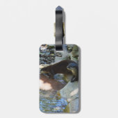 Étiquette À Bagage **"Sips by the Stream : Otters Drinking from River (Dos Vertical)