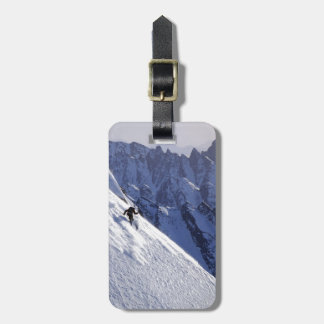 Étiquette À Bagage Ski libre d'extrémité en Alaska