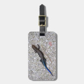 Étiquette À Bagage Skink coupé la queue par bleu (Devant Vertical)