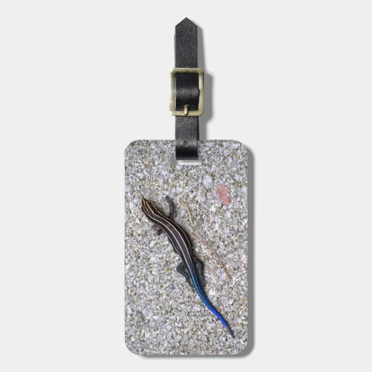 Étiquette À Bagage Skink coupé la queue par bleu (Devant Vertical)