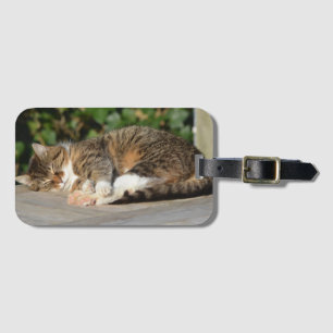 Étiquette À Bagage Sleepy kitty