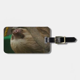 Étiquette À Bagage Sloth