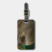 Étiquette À Bagage Sloth (Devant Vertical)