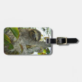 Étiquette À Bagage Sloth (Devant horizontal)