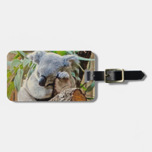 Étiquette À Bagage Sommeil d'ours de koala de l'Australie