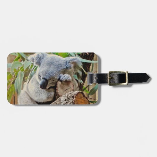 Étiquette À Bagage Sommeil d'ours de koala de l'Australie (Devant horizontal)