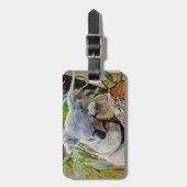 Étiquette À Bagage Sommeil d'ours de koala de l'Australie (Devant Vertical)