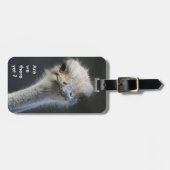 Étiquette À Bagage Sommes-nous là encore ? (Devant horizontal)