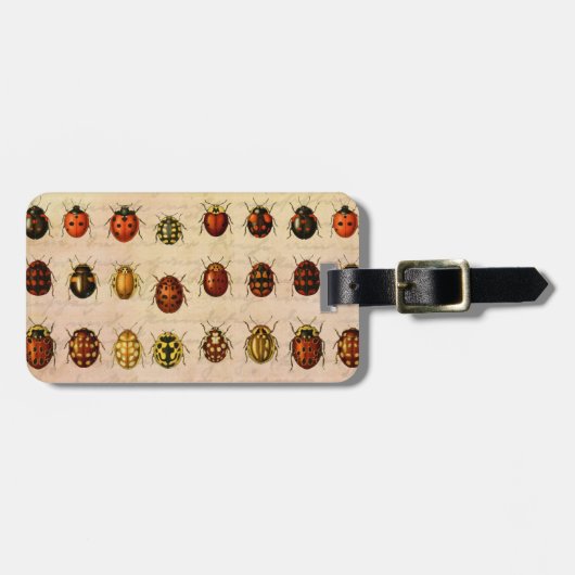 Étiquette À Bagage Spécimen de coccinelle vintage Motif Insecte antiq (Devant horizontal)