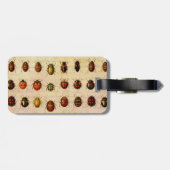 Étiquette À Bagage Spécimen de coccinelle vintage Motif Insecte antiq (Dos horizontal)