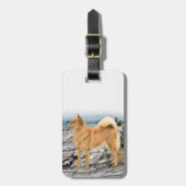 Étiquette À Bagage Spitz finlandais à Seashore Peinture - Chien Art (Devant Vertical)