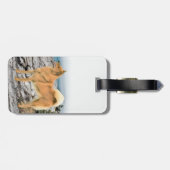 Étiquette À Bagage Spitz finlandais à Seashore Peinture - Chien Art (Dos horizontal)