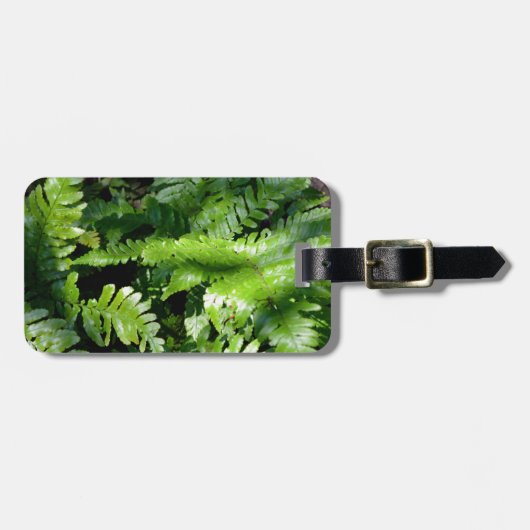 Étiquette À Bagage Spring Green Ferns végétation botanique tropicale (Devant horizontal)