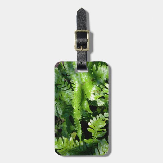 Étiquette À Bagage Spring Green Ferns végétation botanique tropicale (Devant Vertical)