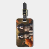 Étiquette À Bagage Springer Spaniel Chiot Automne Citrouille de plais (Devant Vertical)