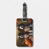 Étiquette À Bagage Springer Spaniel Chiot Automne Citrouille de plais (Dos Vertical)