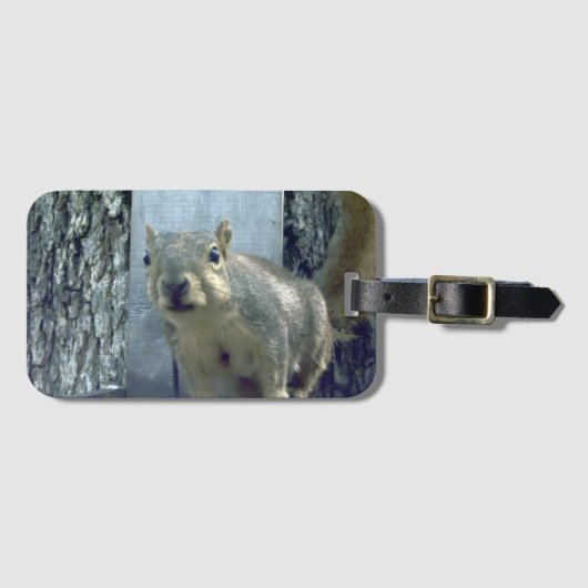 Étiquette À Bagage Squirrel  (Devant Horizontal)