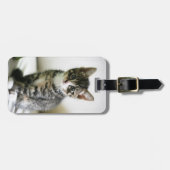 Étiquette À Bagage Stare de Kitten (Devant horizontal)