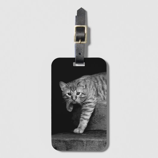 Étiquette À Bagage Stray Cat sur Stairs (Devant Vertical)