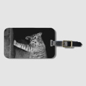 Étiquette À Bagage Stray Cat sur Stairs (Devant Horizontal)