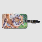 Étiquette À Bagage Stunning Reclining Tiger Photograph (Devant Horizontal)