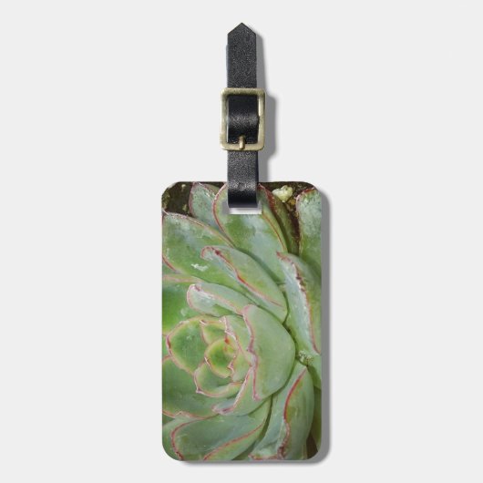 Étiquette À Bagage Succulent, poules et poulets (Devant Vertical)