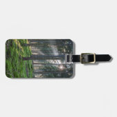 Étiquette À Bagage Sunbeams dans la Forêt-Noire (Devant horizontal)