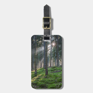 Étiquette À Bagage Sunbeams dans la Forêt-Noire