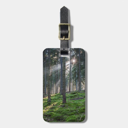 Étiquette À Bagage Sunbeams dans la Forêt-Noire (Devant Vertical)