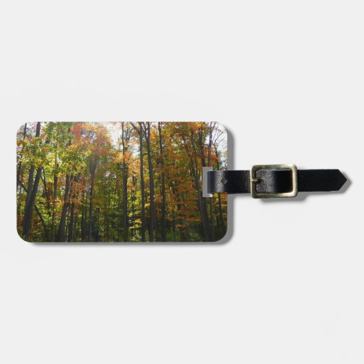 Étiquette À Bagage Sunlit Fall Forest Paysage d'automne (Devant horizontal)