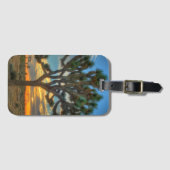 Étiquette À Bagage Sunrise Du Parc National Joshua Tree (Devant Horizontal)