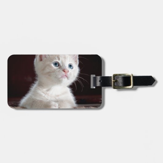 Étiquette À Bagage Super mignon Kitten blanc (Devant horizontal)