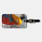 Étiquette À Bagage Superbe profil d'un faisan rouge doré (Devant horizontal)