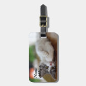 Étiquette À Bagage Sweet Kitten (Devant Vertical)