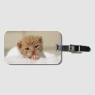 Étiquette À Bagage Sweet puppy kitty