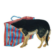 Étiquette À Bagage Sympa black et tan nosey chien fun