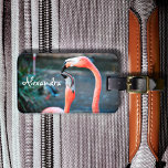 Étiquette À Bagage Sympa rose flamingo oiseaux photo nom personnalisé<br><div class="desc">Qui dit que les flamants roses ne peuvent pas s’amuser avec leur ami préféré ? Profitez de cette image divertissante chaque fois que vous utilisez cette photo étonnante et colorée marque de bagage de nom personnalisée de deux flamants roses jouant autour. Fait un grand cadeau pour votre meilleur ami! Entrez...</div>