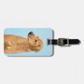 Étiquette À Bagage Tableau Rhodesian Ridgeback - Art Chien original (Devant horizontal)