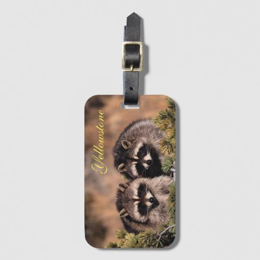 Étiquette À Bagage Tag-Racoons (Devant Vertical)