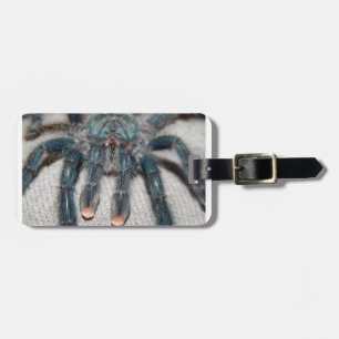 Étiquette À Bagage tarantule bleue