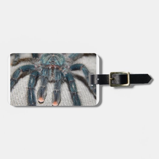 Étiquette À Bagage tarantule bleue (Devant horizontal)