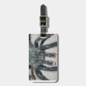 Étiquette À Bagage tarantule bleue (Devant Vertical)